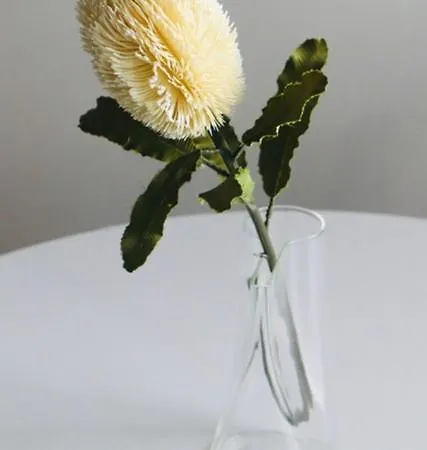 Casa Coelho Apartmán Coimbra