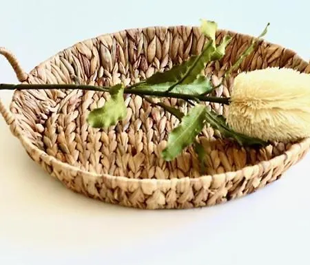 Casa Coelho Apartmán Coimbra