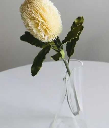 Casa Coelho Apartamento Coimbra